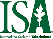 ISA Icon