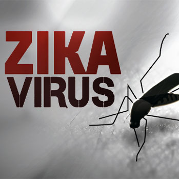 Zika Virus Mosquito