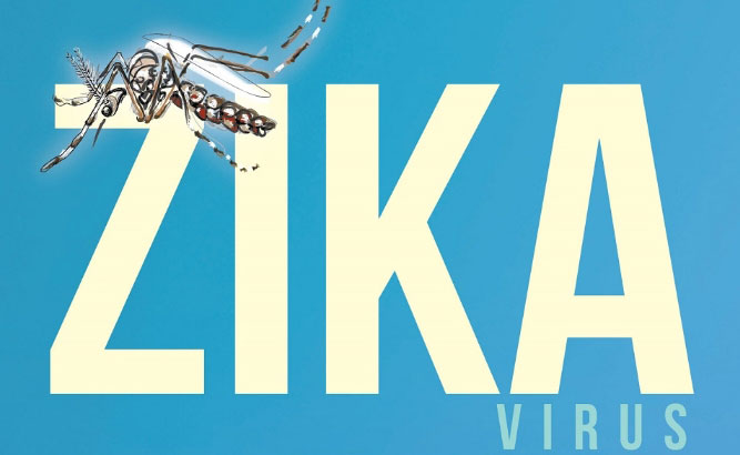 Zika Virus