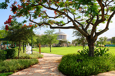 Downtown Doral Park